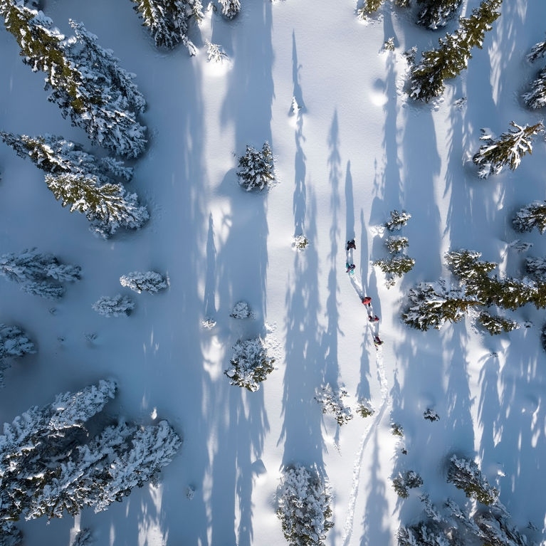 The feeling of floating on snow is like no other and snowshoes will give you just that.

Snowshoe through the trees on Whistler Mountain or the old growth forest of Cougar Mountain. Both guided tours leaving daily.

tagwhistler.com/activity/snows…

📷 : @flowmotionaerials