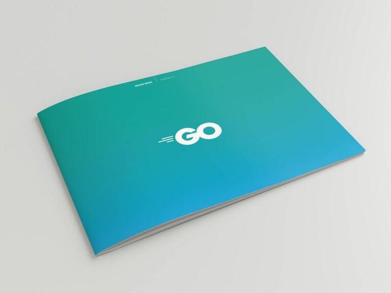 TechRepublic's tweet image. #Goprogramminglanguage: More #developers say it&apos;s critical to projects, but it still lacks key features tek.io/38MRej8 by @OwenRDHughes 

For more about Programming Languages, check out our Flipboard magazine tek.io/2Q0kFaP