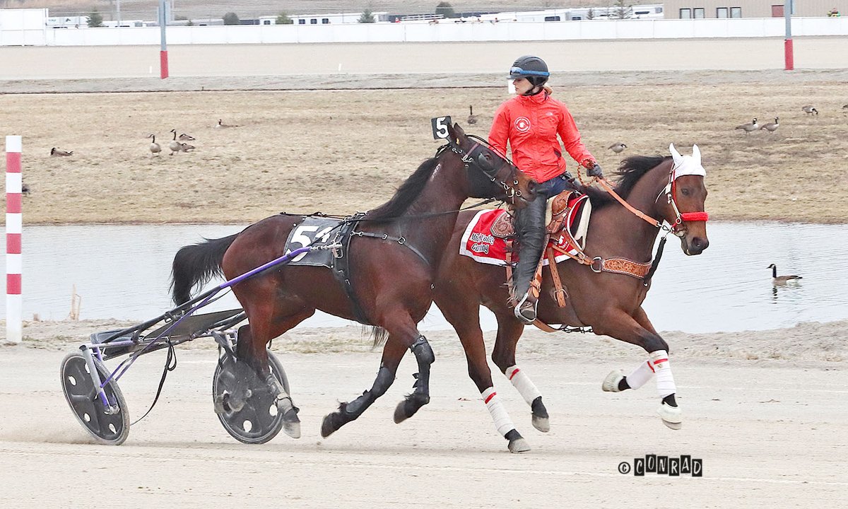 With her first big catch since returning to work, Ashley Holiday proves that she hasn't lost her touch at all.  Great job today, @AshleyMermaide!  Talented outriders are so important for our races!