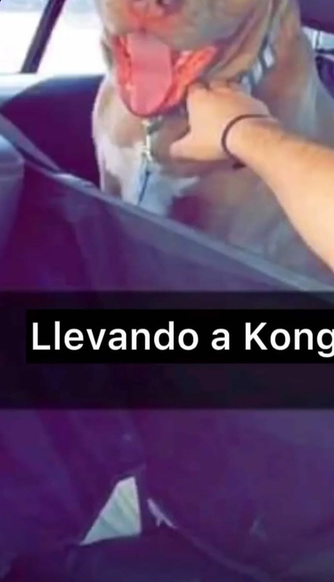 INFIERNO tweet media