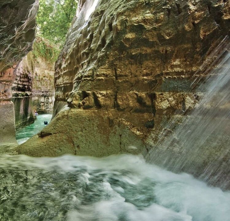 TurismoRD's tweet photo. ¡Puerto Plata posee ríos impresionantes! Como lo es el Río Damajagua, atractivo turístico número uno de la zona norte en su tipo. ��: IG/SaltosDamajagua https://t.co/mdQlValXt1