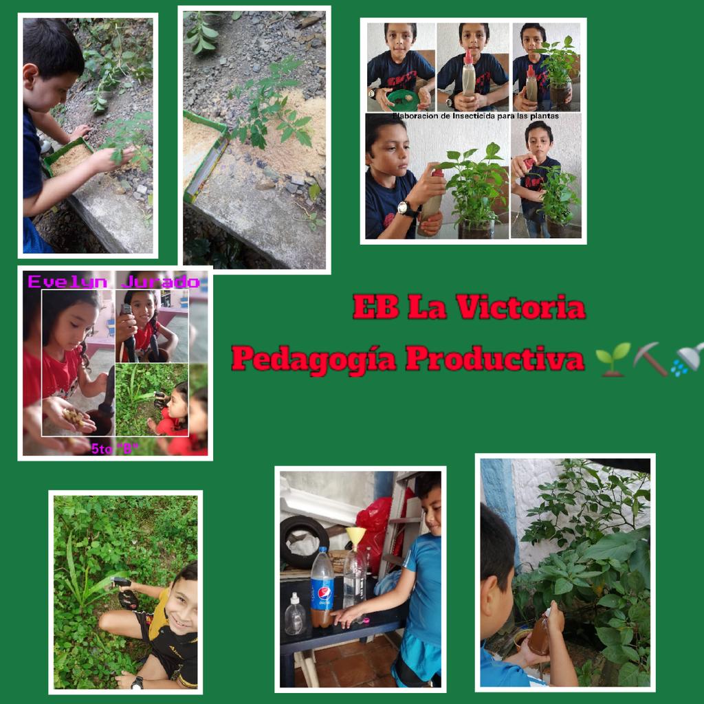 La Escuela Bolivariana La Victoria Celebra el Aniversario N°1 del Plan Cada Familia Una Escuela <a href="/charlychaves/">Charly Rojas Chaves</a> <a href="/2018Cra/">CDCE Junín Táchira</a> <a href="/maduro_en/">Nicolás Maduro</a> <a href="/Aristobulo_Psuv/">AristobuloPsuv</a> <a href="/fdocentetachira/">formaciondocentetach</a> <a href="/01Ptmstachira/">PTMSTACHIRA</a>