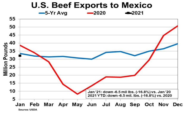 cattlefax's tweet photo. Downswing in #BeefTrade with Mexico // U.S. #beefexports to Mexico in January were down -16.8% from a year ago. Imports were down -18% from last January. Exports in 2021 could see growth due to poor shipments in 2020 and move back towards the 5-yr avg. https://t.co/acoF5oVF8R https://t.co/IpPuv1kclG