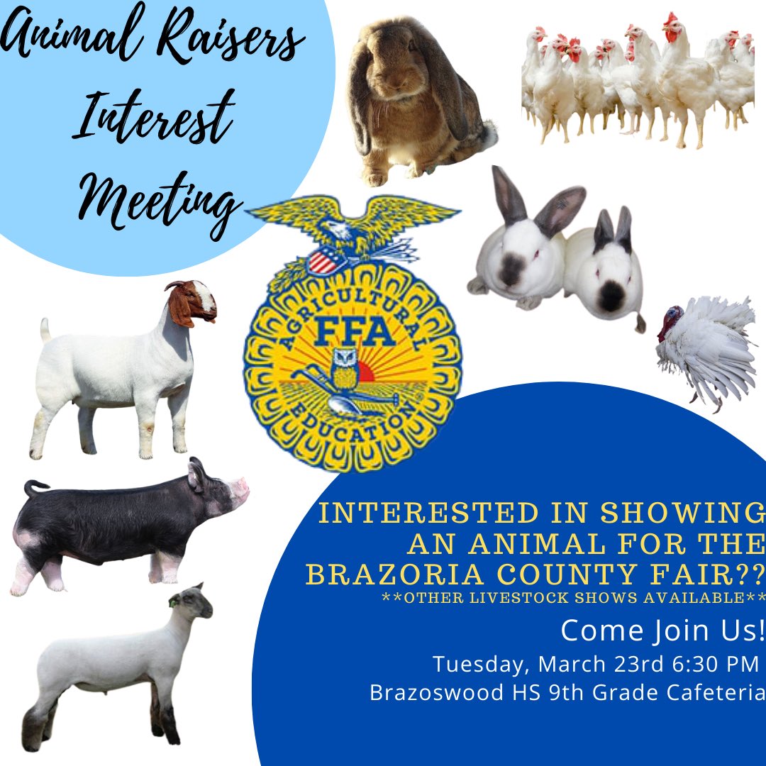 interested in showing livestock such as rabbits, poultry or other small animals? Will you be at least 8 years old and in the 3rd grade by August 31st? If you are in HS are you signed up to be in an ag class for next school*MEETING IS NOT FOR THOSE WHO ARE WANTING TO RAISE CATTLE*