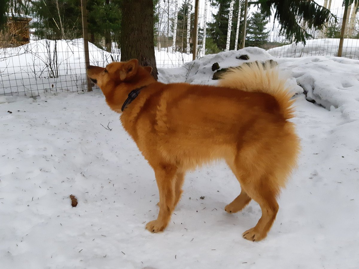 Samppu4's tweet image. 