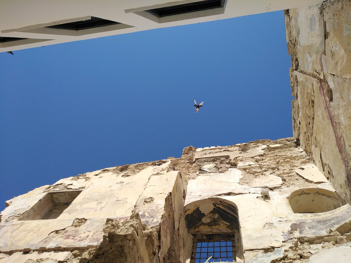 f_alfrgani's tweet photo. زيارة صباحية لمعرض آديم الخروبي بصالة عرض باب البحر الجديدة في المدينة القديمة، نلنا شرف لقاء أستاذنا الفاضل الفنان د.بشير حمودة والحديث الشيق عن روح الفن #آديم #محمدالخروبي #إطرابلس #المدينة_القديمة #ليبيا #فن #فنون #خط #Tripoli_Libya #oldcity #art #libyanartist #lineart https://t.co/CpNMLNMGrj