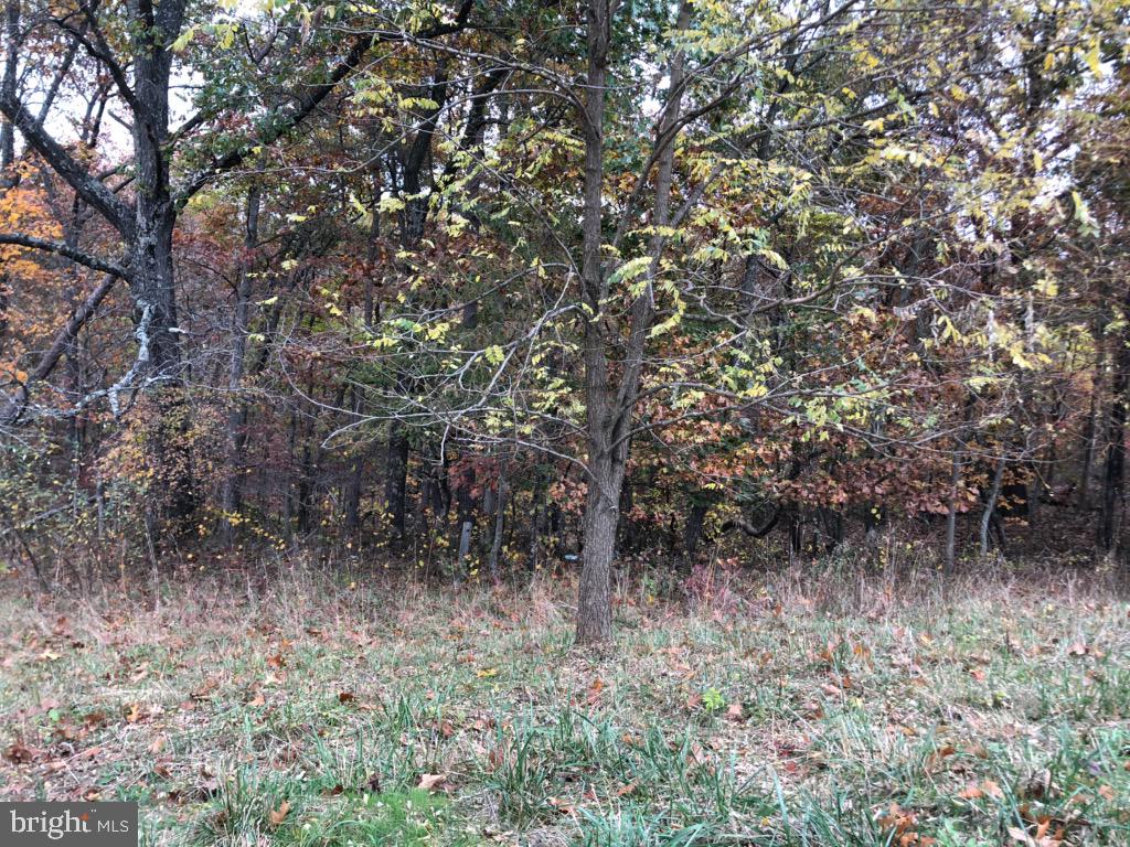 SagerRealestate's tweet photo. See a virtual tour of one of our newest #listings 15 HARRY HIETT LANE #Gore #VA  https://t.co/khrCwDwXps https://t.co/dZ5jwghPMG