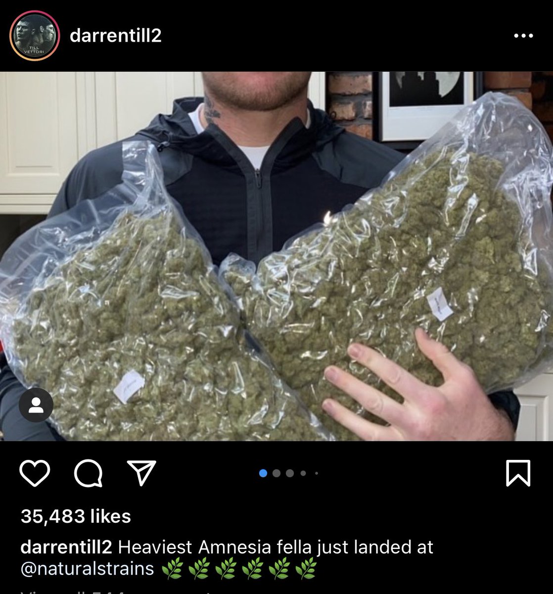 Ryan | Plume tweet media