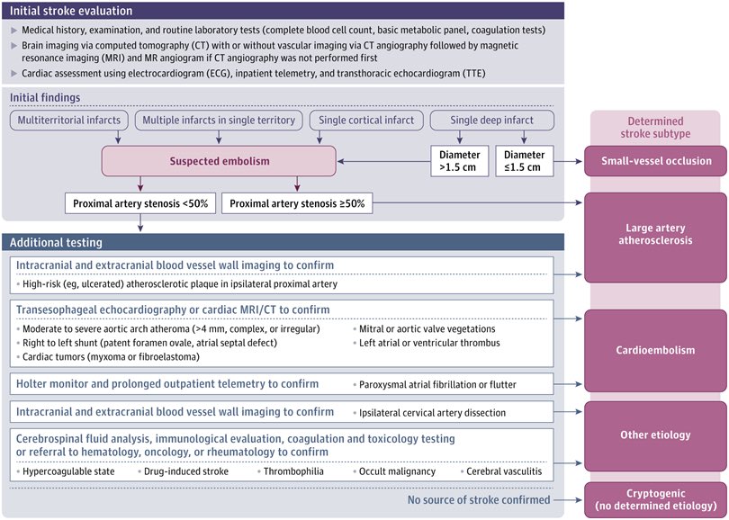 Diagnosis and Management of Transient Ischemic Attack and Acute Ischemic Stroke ja.ma/3rY88mk via <a href="/JAMA_current/">JAMA</a> part of <a href="/JAMANetwork/">JAMA Network</a>