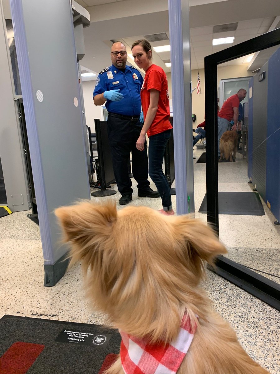 Corpus Christi International Airport (CCIA) tweet media