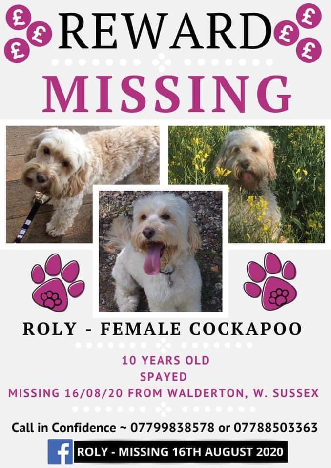 molliepug2's tweet photo. πππ Fb ROLY MISSING ππ
PLEASE SHARE
Missing from Chichester area
Roly is a SPAYED female cockapoo. if you have seen her or bought her please ring us in confidence
βοΈ07799838578 or 07788503363
π°REWARD on offer for safe return NO questions asked. https://t.co/wshpyrOF5o