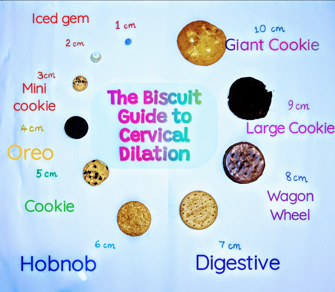 AimeeEducatorMW's tweet image. This week I'm focusing on making Student boards informative, yet fun. It was lots of fun compiling this chart... Now to eat the components! #biscuitsforlearning #bytesizedlearning #useyourinitiative #clinicaleducation