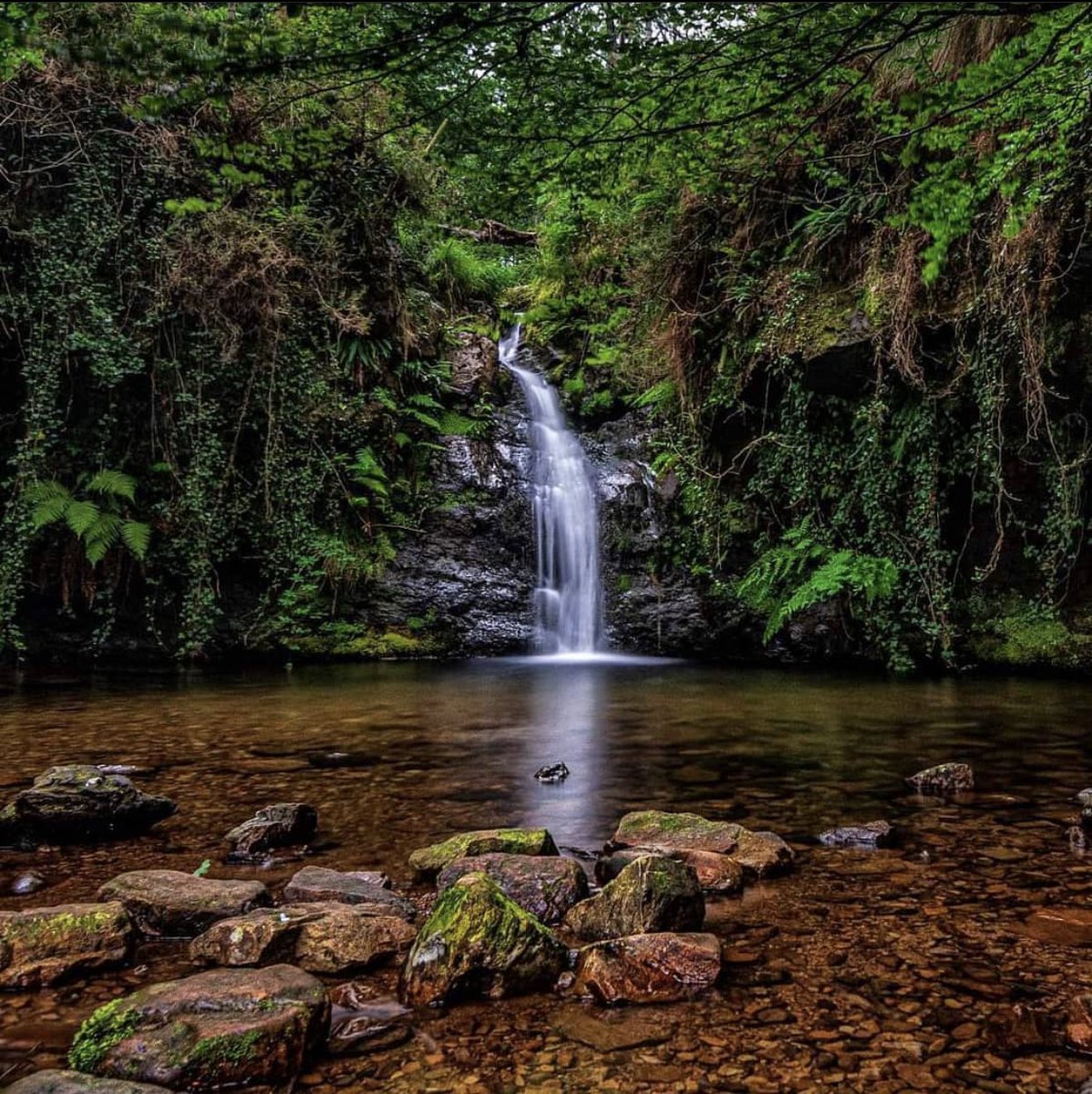 Ojalá se parase el tiempo aquí ⏳

📍 Cascadas de Lamiña (Cantabria)

📷 IG nachonachitonachete