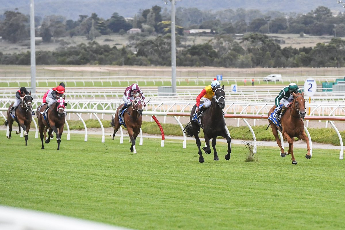 3Bloodstock's tweet image. Today we have NIGHTFIRE 🔥 stepping out at Sandown in race 2, Class 1 over 1200m. Luke Currie again takes the ride following their impressive maiden victory last start for @Grahame_Begg 🙌🏻