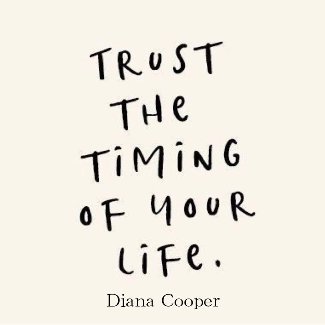 TamiGoulet73's tweet photo. Trust it!!! ❤️💜 https://t.co/proM2azyst