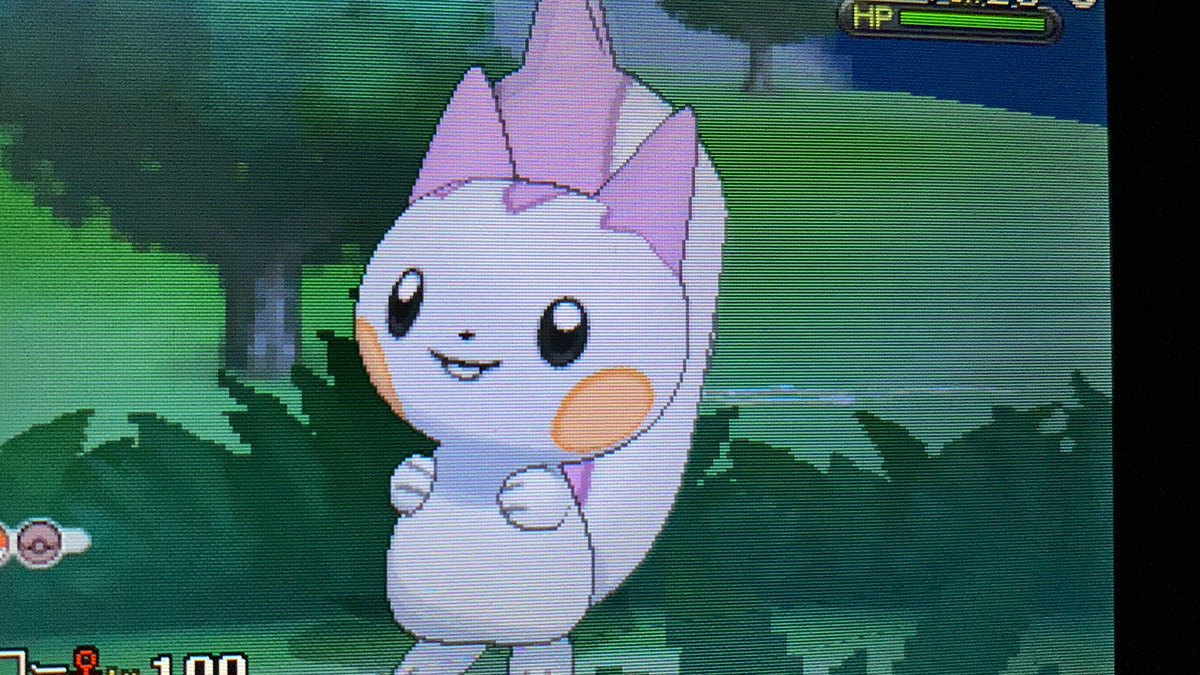 Yossy ポケモンgo パチリス色違い可愛すぎ ๑ ᴗ ๑ ポケモン パチリス 色違い