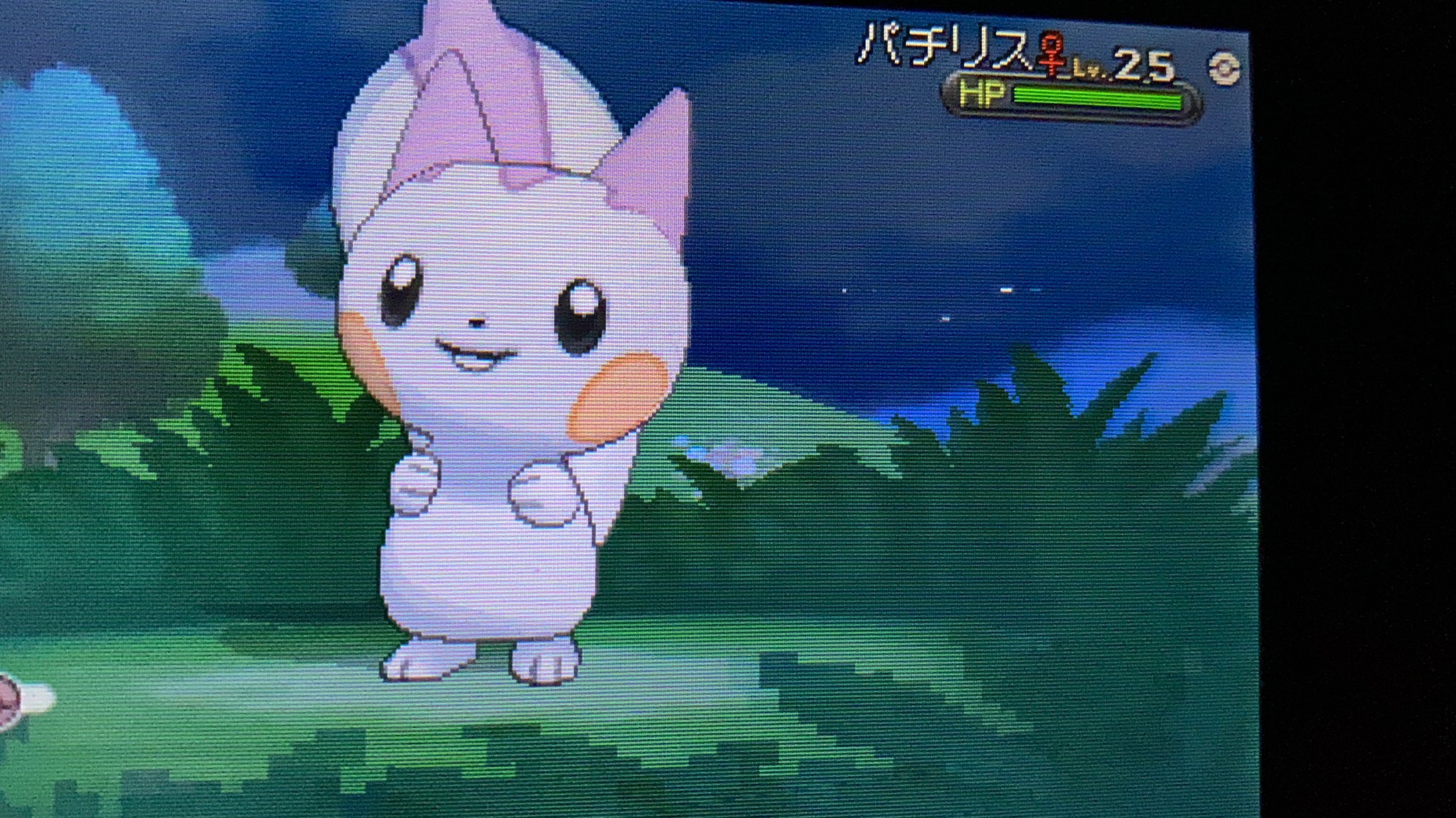 Yossy ポケモンgo Pa Twitter パチリス色違い可愛すぎ ๑ ᴗ ๑ ポケモン パチリス 色違い T Co 2zppdo5jbh Twitter