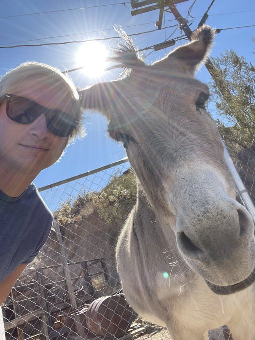 Look at this A$$ 🐴 https://t.co/qLpTs4fNLS<a href="/tag/maskup"class="tags"><span>#maskup</span></a><a href="/tag/covid"class="tags"><span>#covid</span></a><a href="/tag/onlytookoffforpic"class="tags"><span>#onlytookoffforpic</span></a>