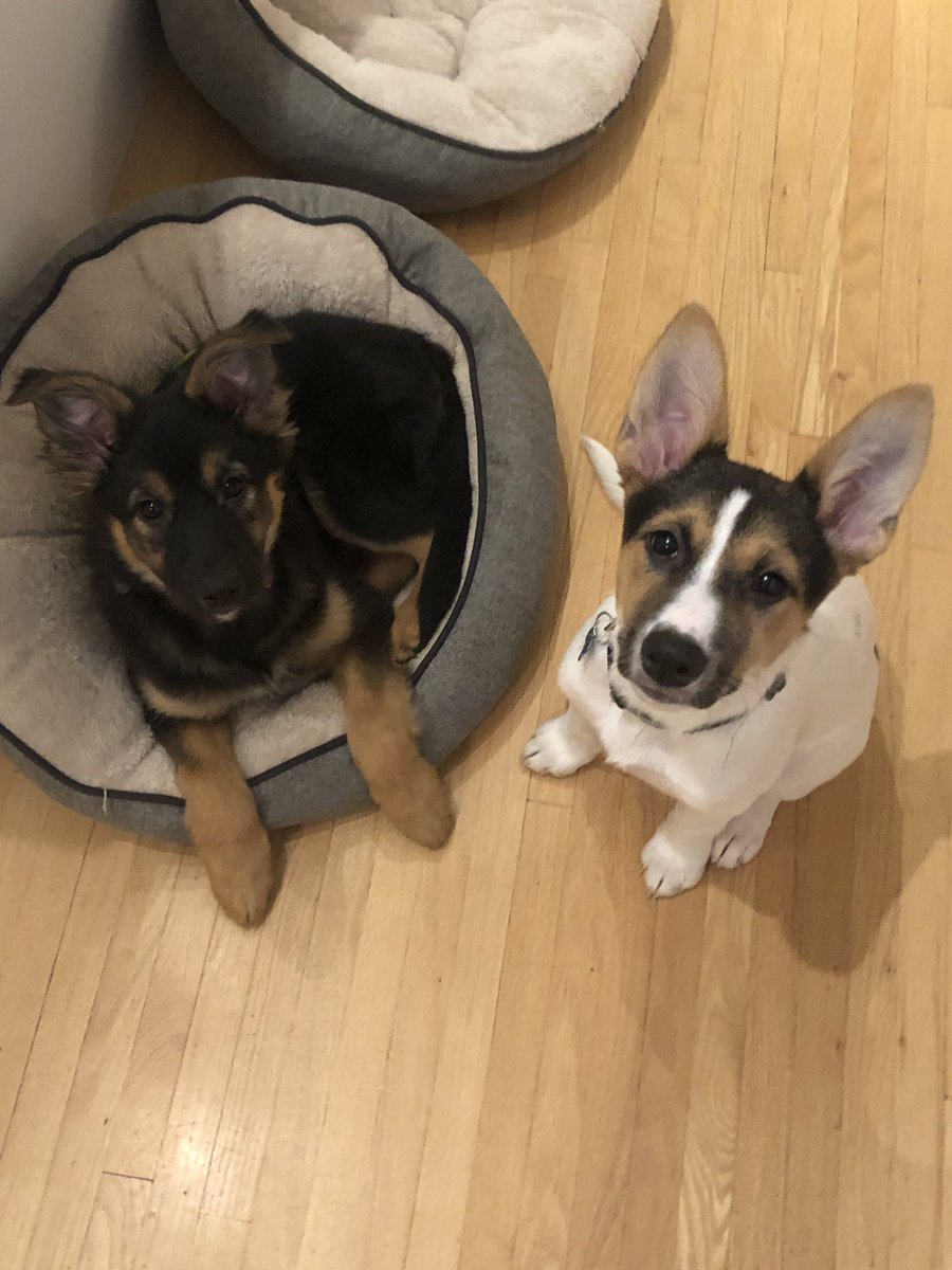 Kiri Knine tweet media