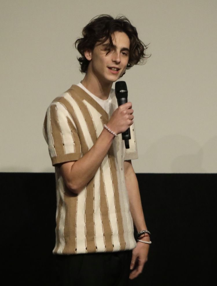 tchalamet256's tweet photo. Missing: Timothèe Chalamet, if you saw this boy pls contact me asap https://t.co/of3fVUMWZo