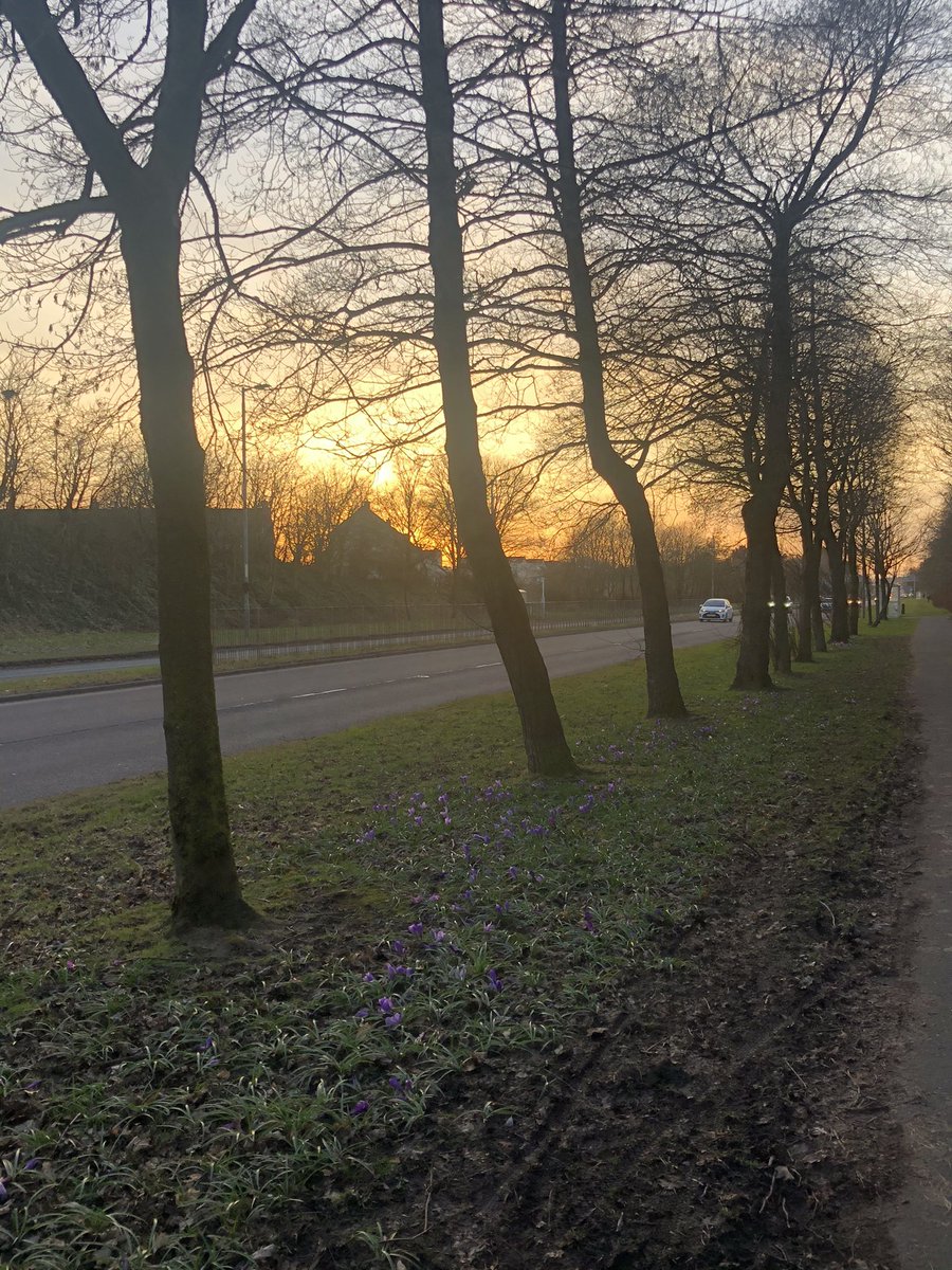missdevine77's tweet image. Feeling hopeful.. spring is in the air, and there is light at the end of this tunnel.
Ok, dual carriageway but you know what I mean!