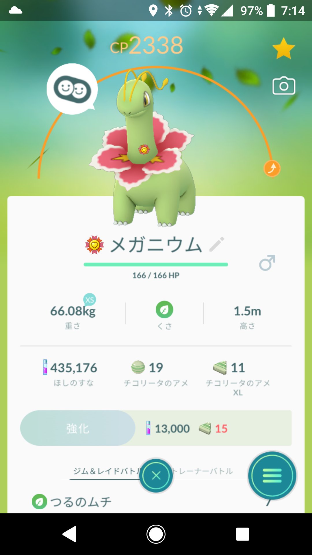 Maamポケモンgo始めました山形 通常ハイパーでムキムキメガニウム使ってみたけど強いね 鋼やギラティナに地震打てるのがいいです 早くmax強化したい ポケモンgo T Co Jqmx77ygzd Twitter