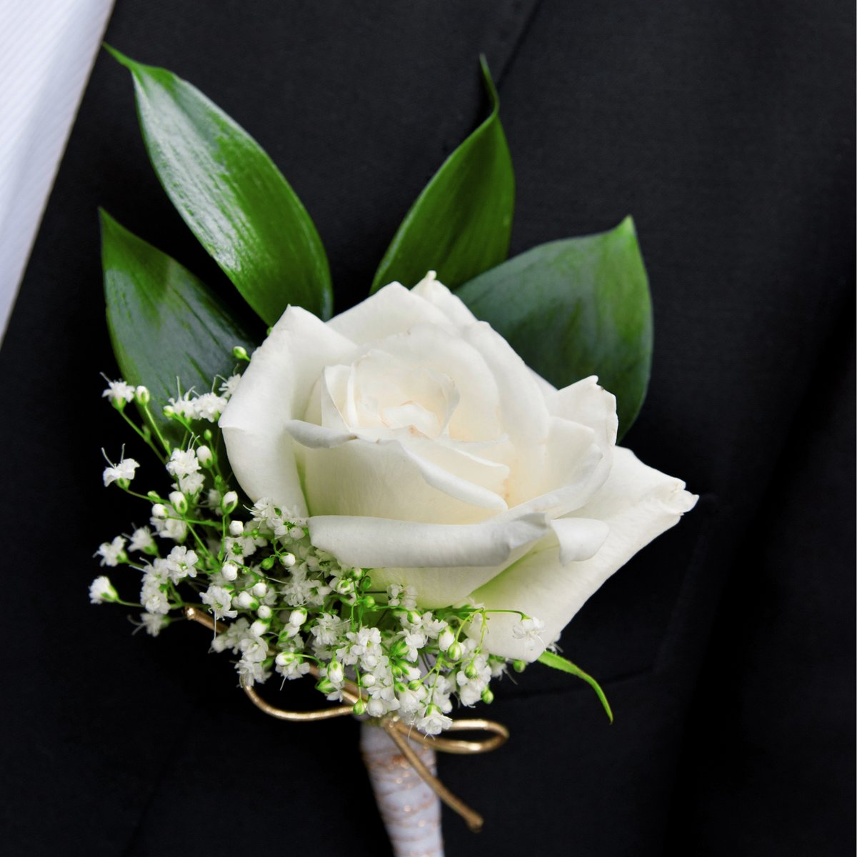 wedframe tweet media