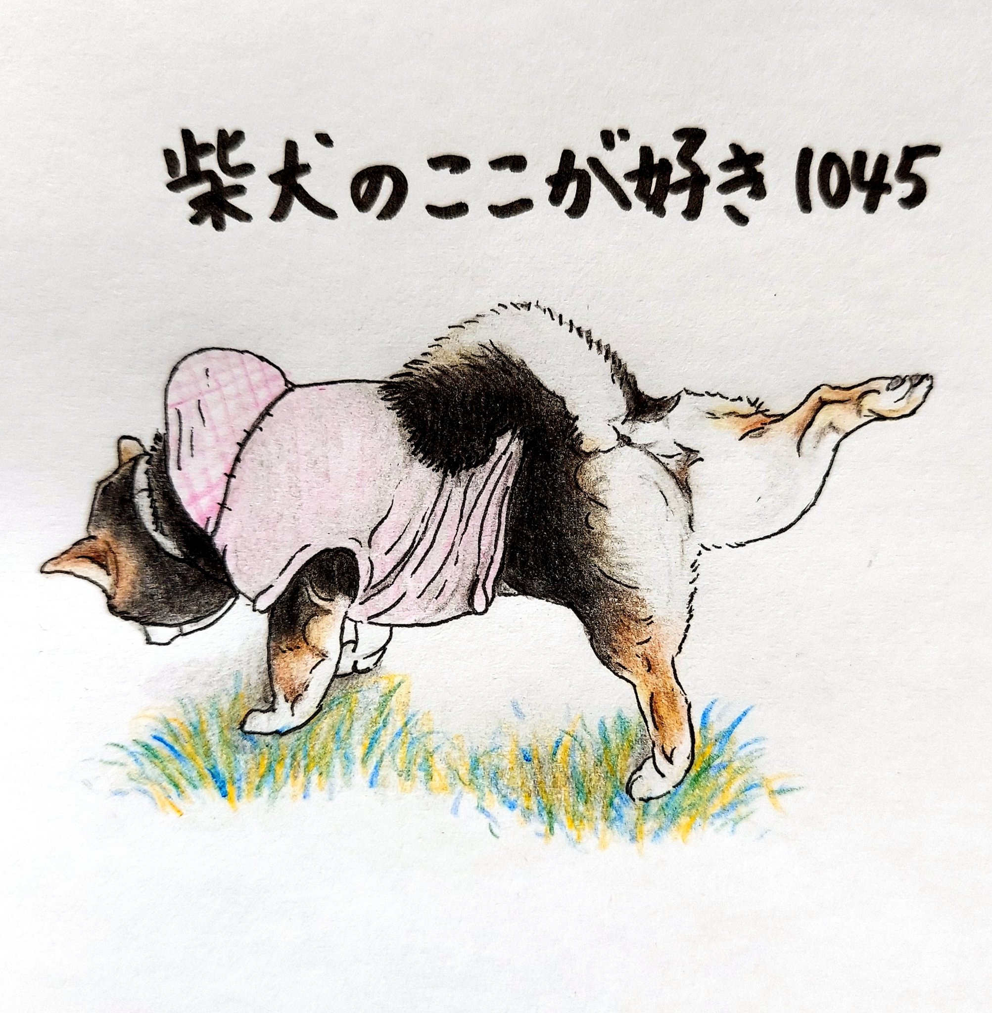 ここ柴 もはや 足を伸ばすことが目的になっているとこ 砂をかけるとかじゃないよね 足伸ばしてる時間の方が長いよね どこまで高く上がるか挑戦してる 柴犬のここが好き ここ柴 ここ柴部 柴犬 イラスト 色鉛筆 T Co Yr4c3pfycx ここ柴 もはや 足を伸ばすことが目的になっているとこ 砂をかけるとかじゃないよね 足伸ばしてる時間の方が長いよね どこまで高く上がるか挑戦してる 柴犬のここが好き ここ柴 ここ柴部 柴犬 イラスト 色鉛筆 T Co Yr4c3pfycx