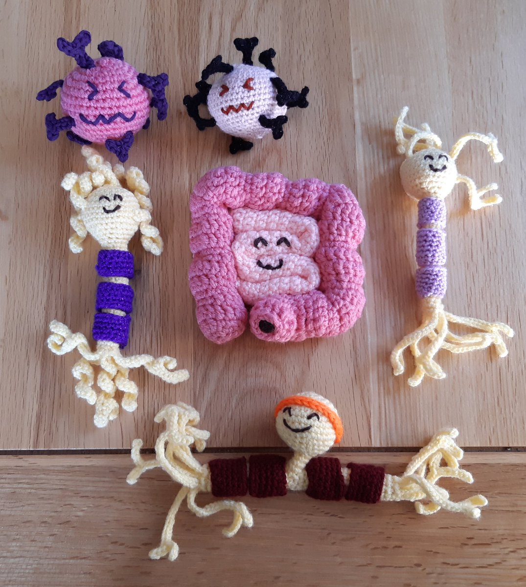 HelenMa96540683's tweet photo. My latest batch of crochet prizes for my A &amp; P students. This time included bowels 😁 https://t.co/f3KUBdNlov