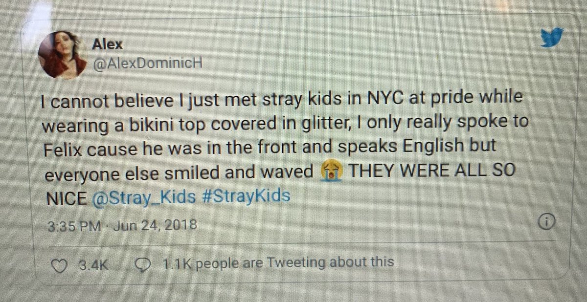 skz were spotted at nyc pride in 2018, felix talked with a stay and they said that he and the other members were so so so happy!!!