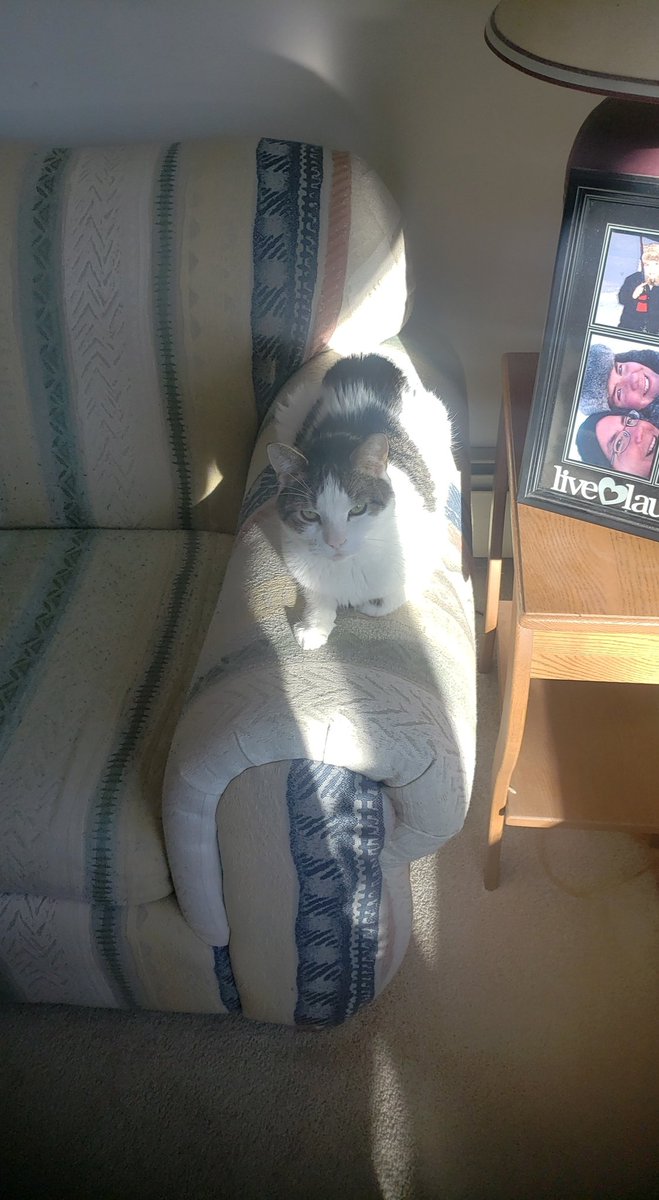 Mr. Astro tweet media