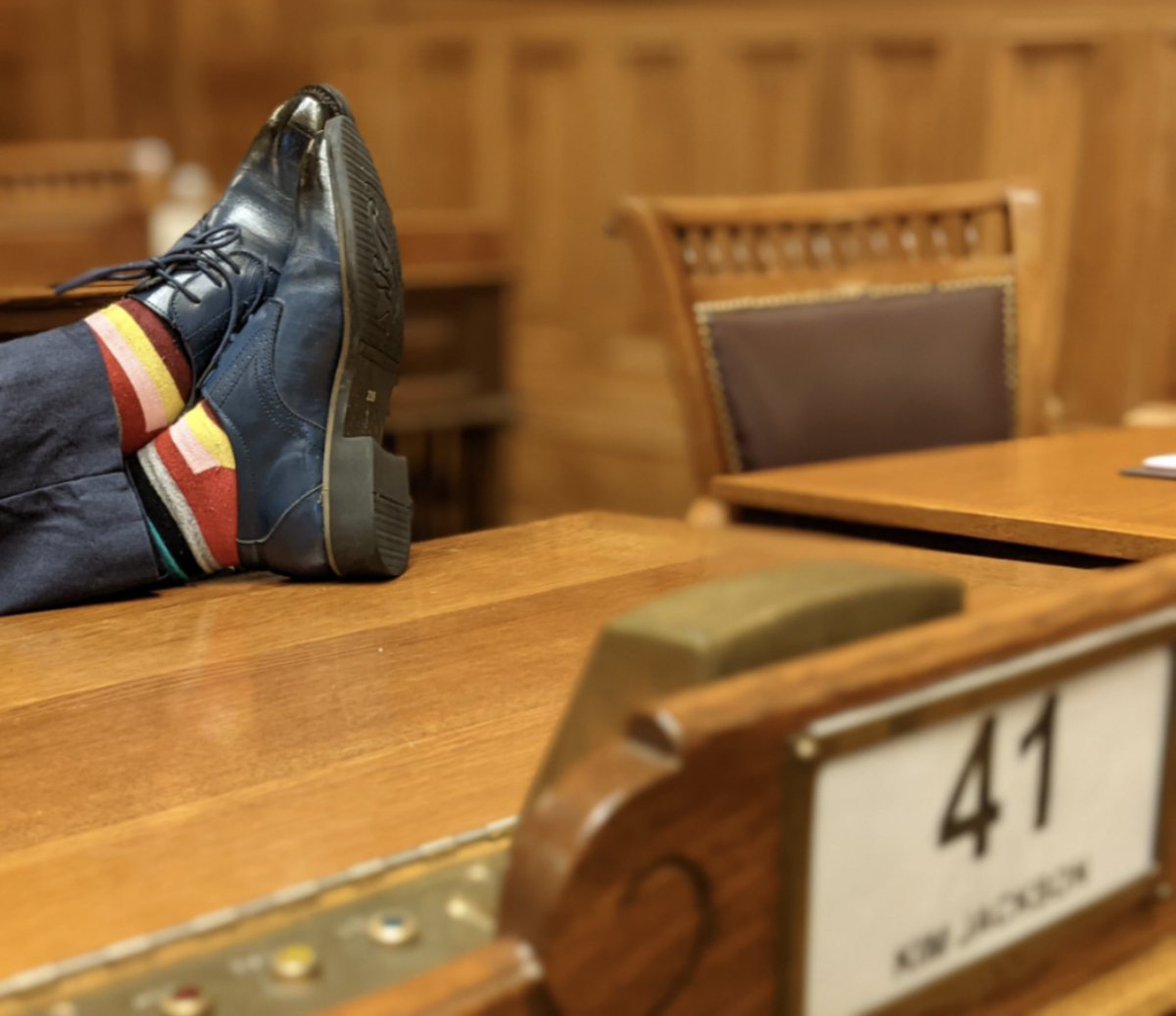 Proud to wear @tomboytoes as Senator on the floor of the Georgia State Senate.