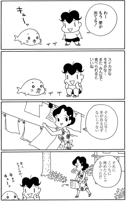 『種まき その2』昨日植えた種からもう芽が出た?#毎朝ゴマちゃん#ゴマちゃん#コマゴマ 