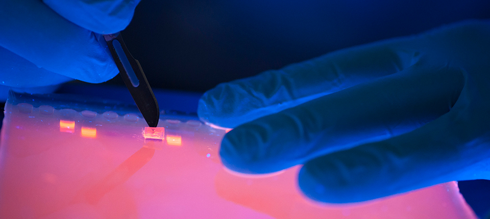 More reasons to explore <a href="/PLTWorg/">Project Lead The Way</a>!
 Why STEM Careers Are More Important Than Ever: How COVID-19 accelerated the need for STEM professionals.
ow.ly/QuFK50DH5D2 #STEM #STEMlearning #STEMcareers #PLTW