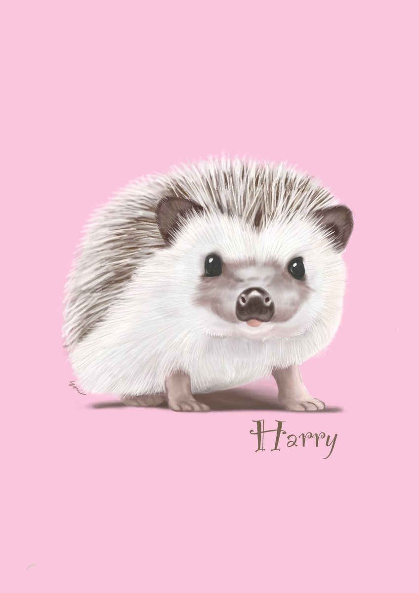 ハリネズミ　油彩画　原画 716qMPsMc8L._UF350,350_QL50_.jpg