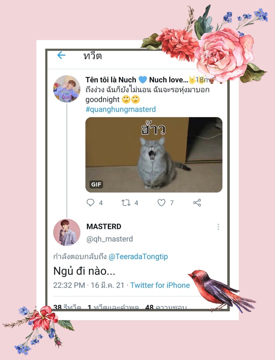 Chị Nuch💙 💙 tweet media