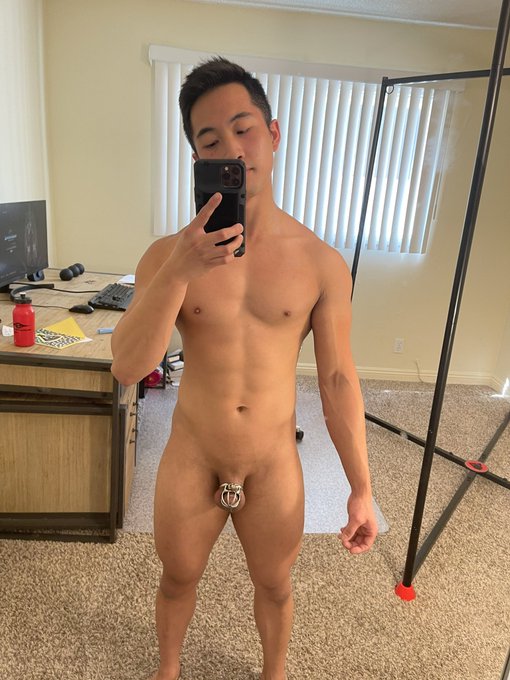 Back day done and large Stan from Bad Dragon just shipped! Can&rsquo;t wait to get that huge horse cock inside