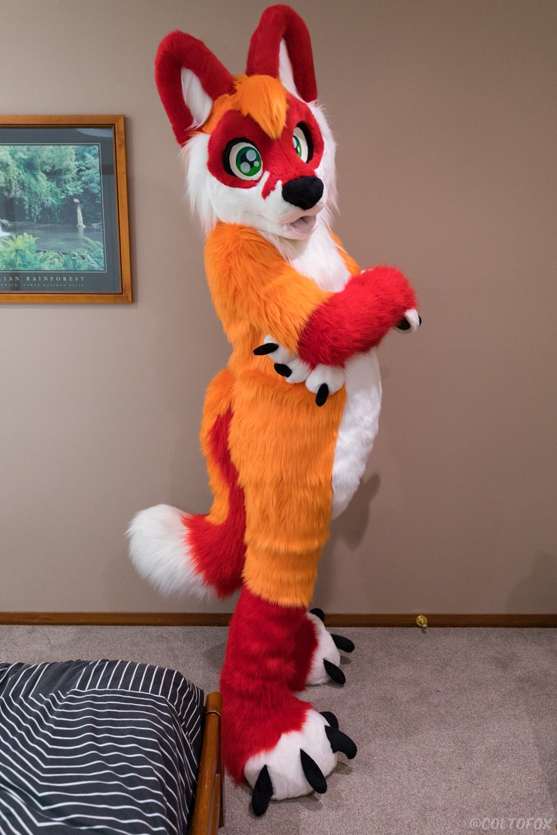 Colto Fox tweet media