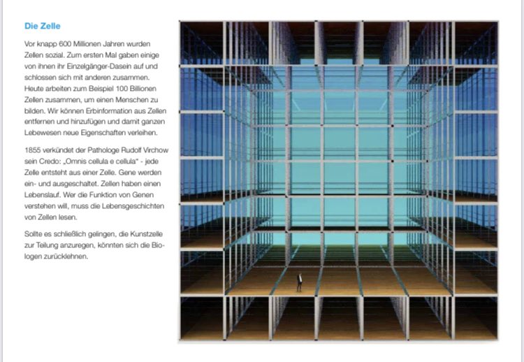 Kultur ganz Sorgenfrei! Und Air for You ist dabei der Schlüssel 👍🏼 bluebox.earth