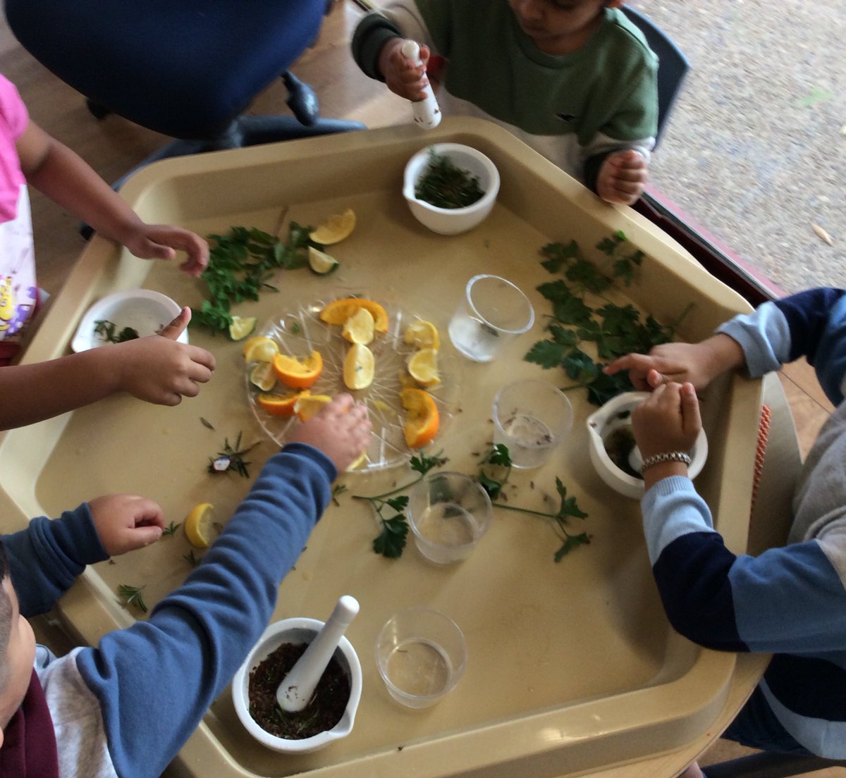 We have been learning about our five senses! Yesterday, we experimented with herbs and citrus foods to make concoctions with a mortar and pestle. Our classroom smelt amazing! <a href="/rosehillps/">Rosehill PS</a> #DoEpreschools