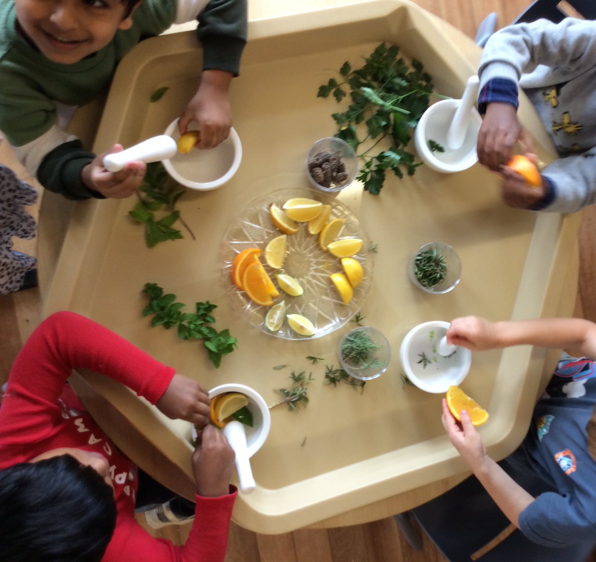 Rosehill Public School Preschool tweet media