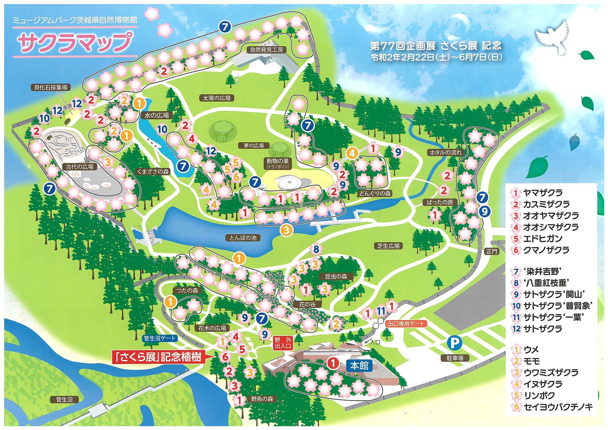 ミュージアムパーク茨城県自然博物館