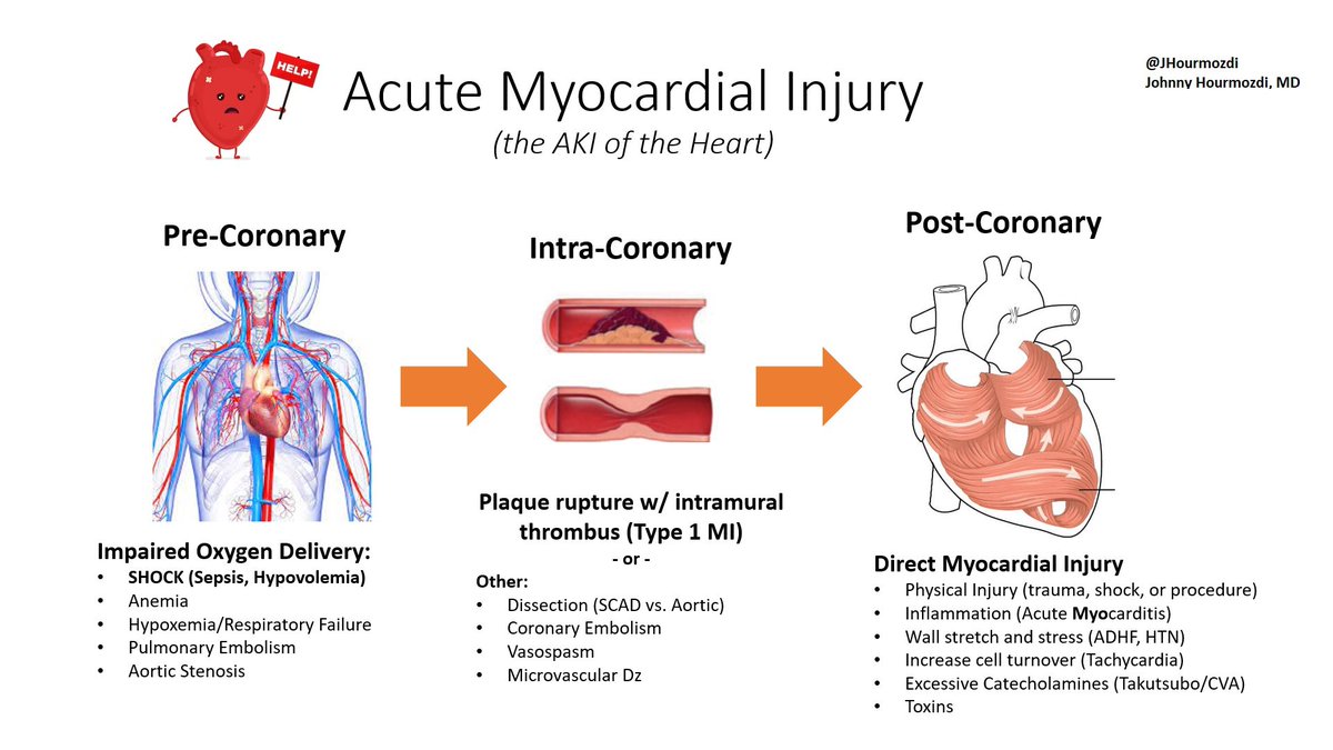 Been tinkering with this schema for elevated troponin in the absence of chest pain. Inspired by <a href="/CPSolvers/">The Clinical Problem Solvers</a> - #MedTwitter #cardiotwitter, give me a hand with some improvements/feedback!