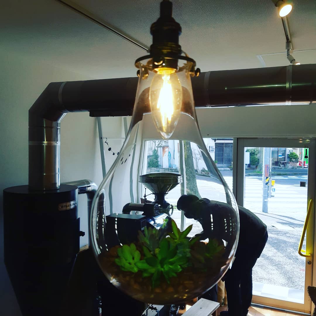aoyamacoffee24's tweet photo. #新しい #アイテム が仲間入り#浅煎り の #コロンビア 🇨🇴豆の中に #多肉植物 🌱を入れてみました✨#雑貨 の#好きな #officialmanager がいますので店内の細かいものは任せています👍#プレopen 中夕方に同時刻多数来られる方が増え店内が狭いのでメニューがお決まりならお電話頂けた方がスムーズです☕ https://t.co/YrjaPA0bz3
