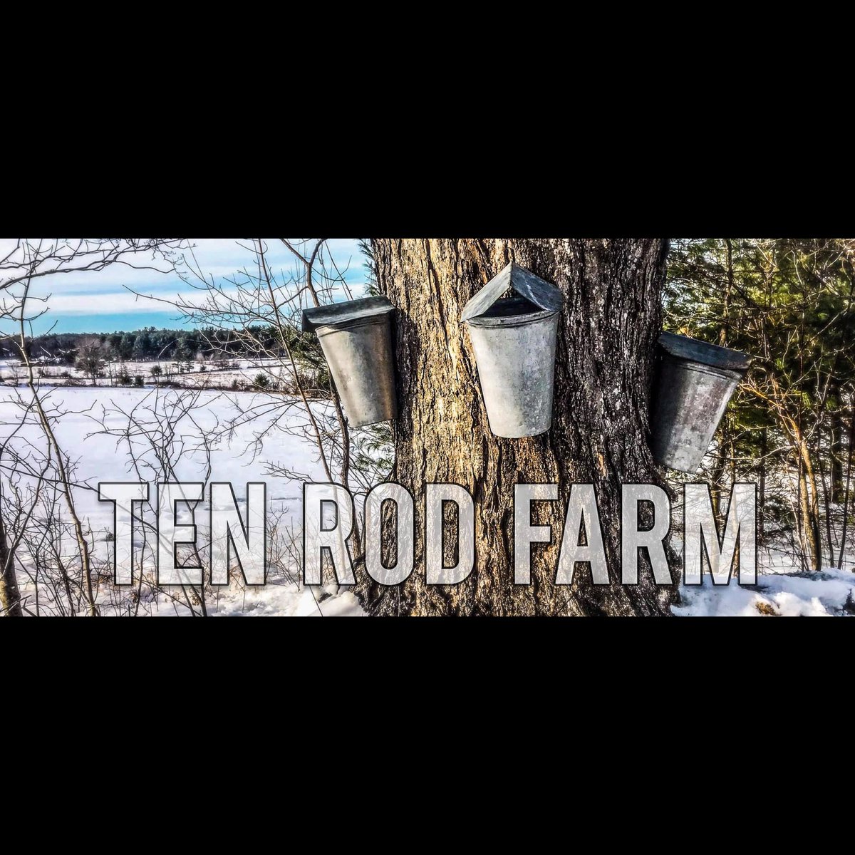 TenRodFarm's tweet image. Got Syrup? We do.