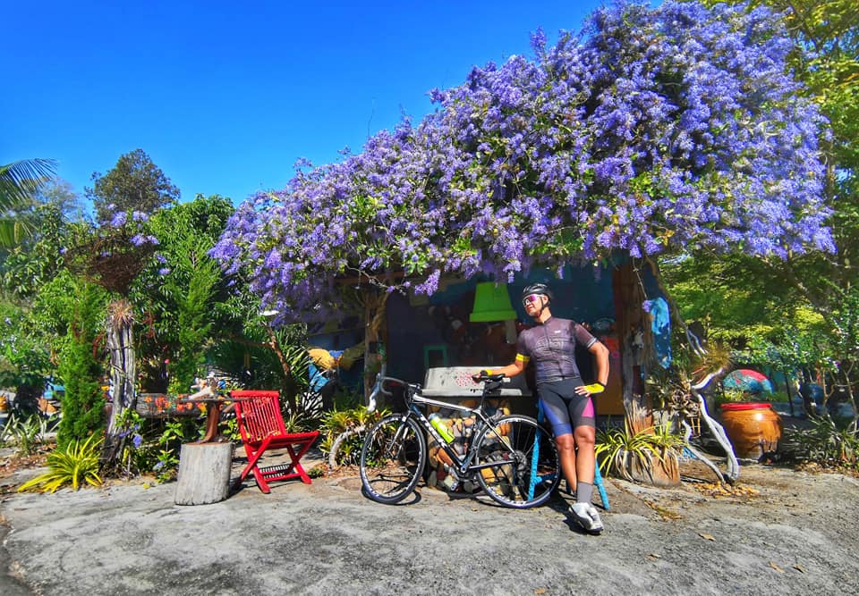 bicyclecm tweet picture