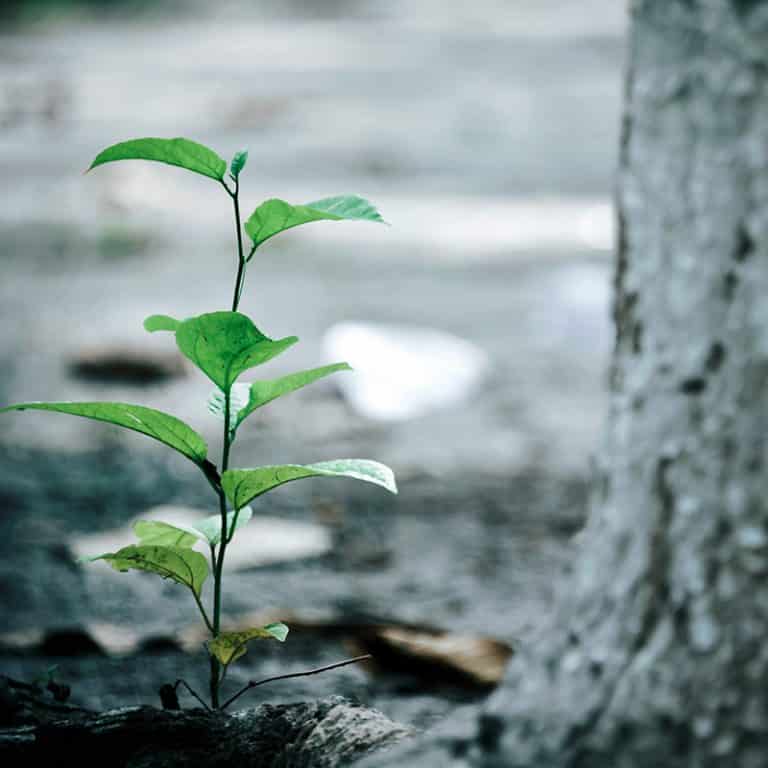 CANEnvironmentl's tweet photo. Environmental Site Assessment Services Company - https://t.co/73unH63w4e

#EnvironmentalSiteAssessmentOntario
#Phase1ESACalgary
#Phase1ESAEdmonton https://t.co/NfRzKZimMh