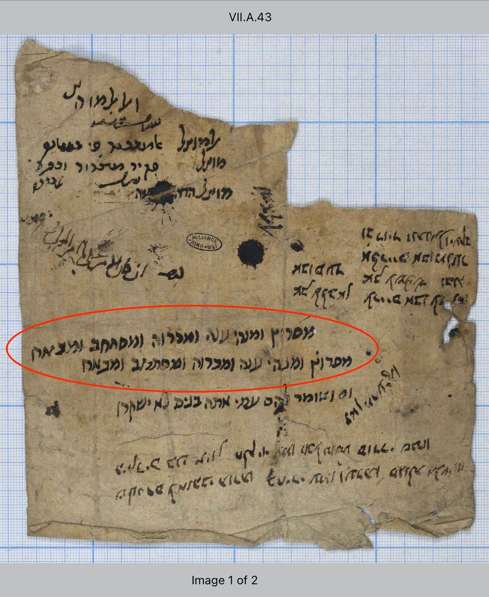 Princeton Geniza Lab tweet media