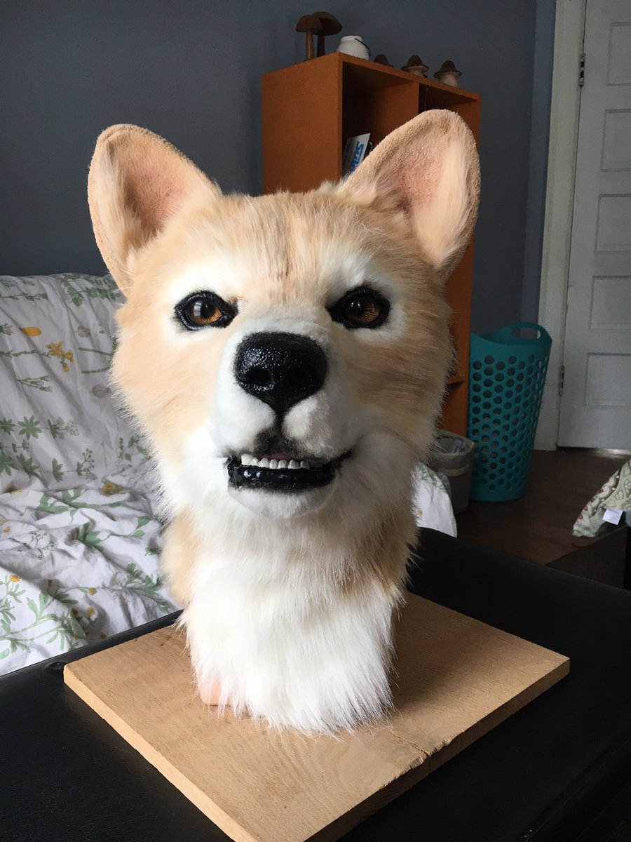 CCreatureworks's tweet photo. @CityMuttFursuit I’ve got this little buddy still, my furst suit! https://t.co/qSeEFojSOs