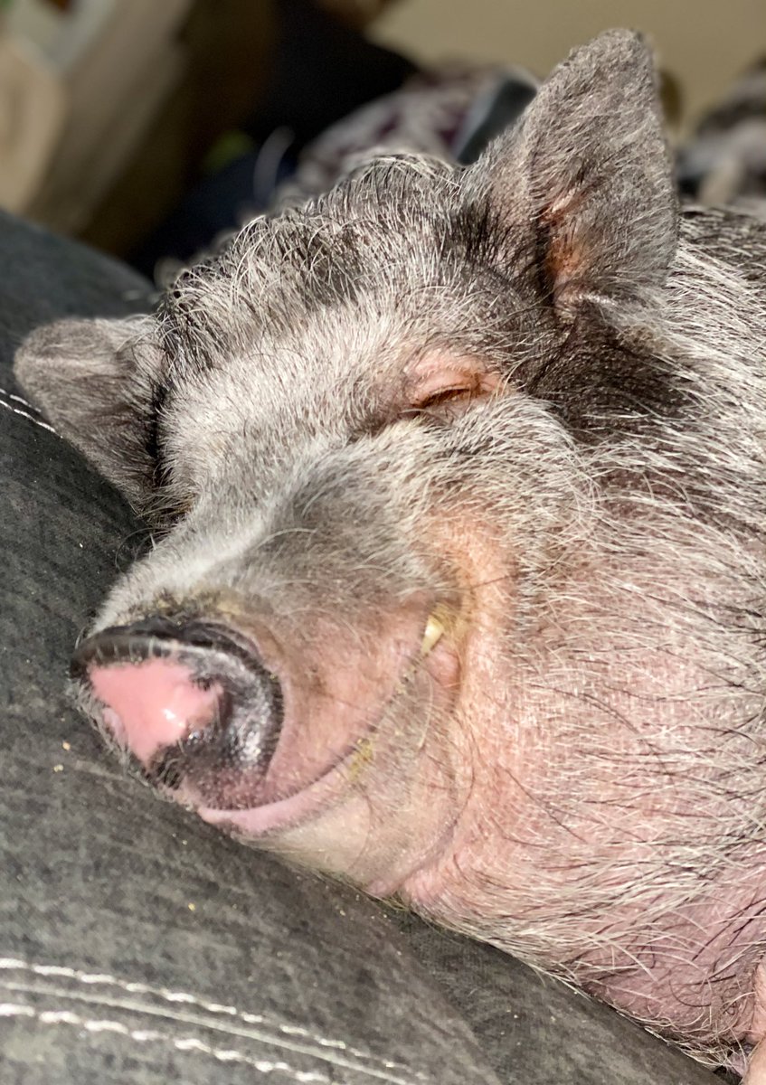 justshell2014's tweet image. 